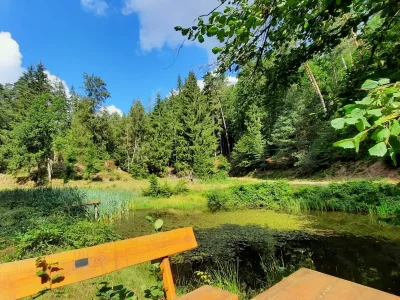 Holiday apartment MR apartment - Environment photo 32