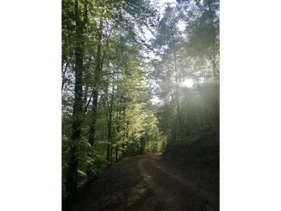 Holiday apartment MR apartment - Environment photo 33