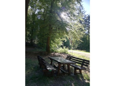 Holiday apartment MR apartment - Environment photo 38