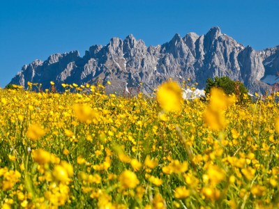 Holiday apartment Haus Bambi, App.2 - Environment photo 19