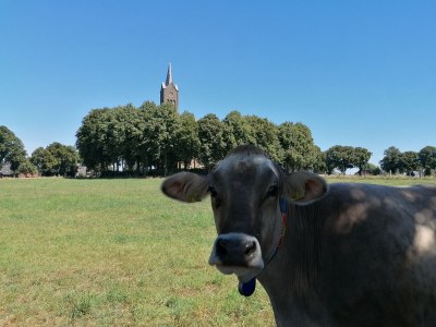 Holiday apartment Kornkammer - Environment photo 40