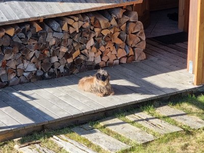 Alpine hut Fisherman's cabin - Outdoor photo 12