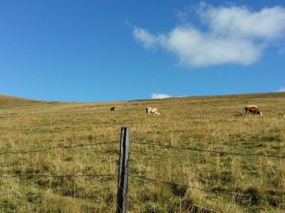 Alpine hut Fisherman's cabin - Environment photo 37