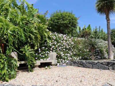 Holiday house Finca Los Dragos in Playa San Juan - Outdoor photo 13