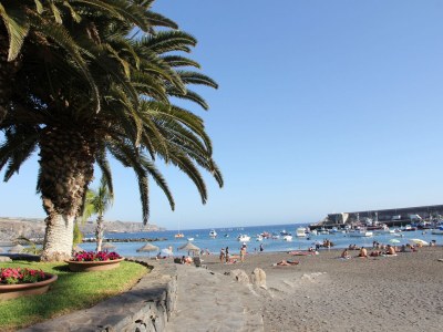 Holiday house Finca Los Dragos in Playa San Juan - Environment photo 31