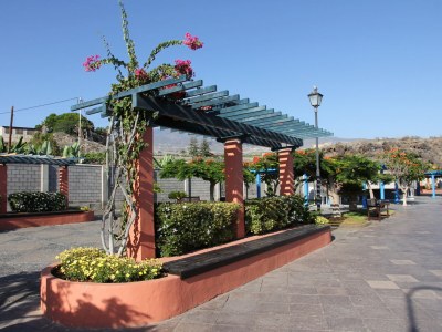 Holiday house Finca Los Dragos in Playa San Juan - Environment photo 33