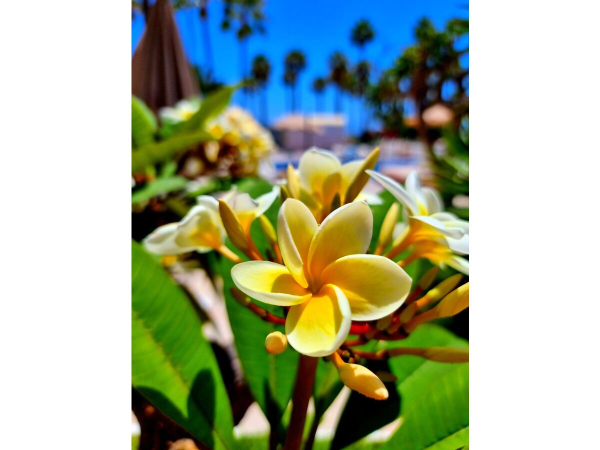 Apartment Luxury Studio ALTAMIRA - Outdoor photo 5