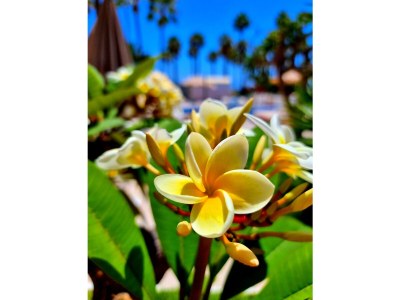 Apartment Luxury Studio ALTAMIRA - Outdoor photo 5