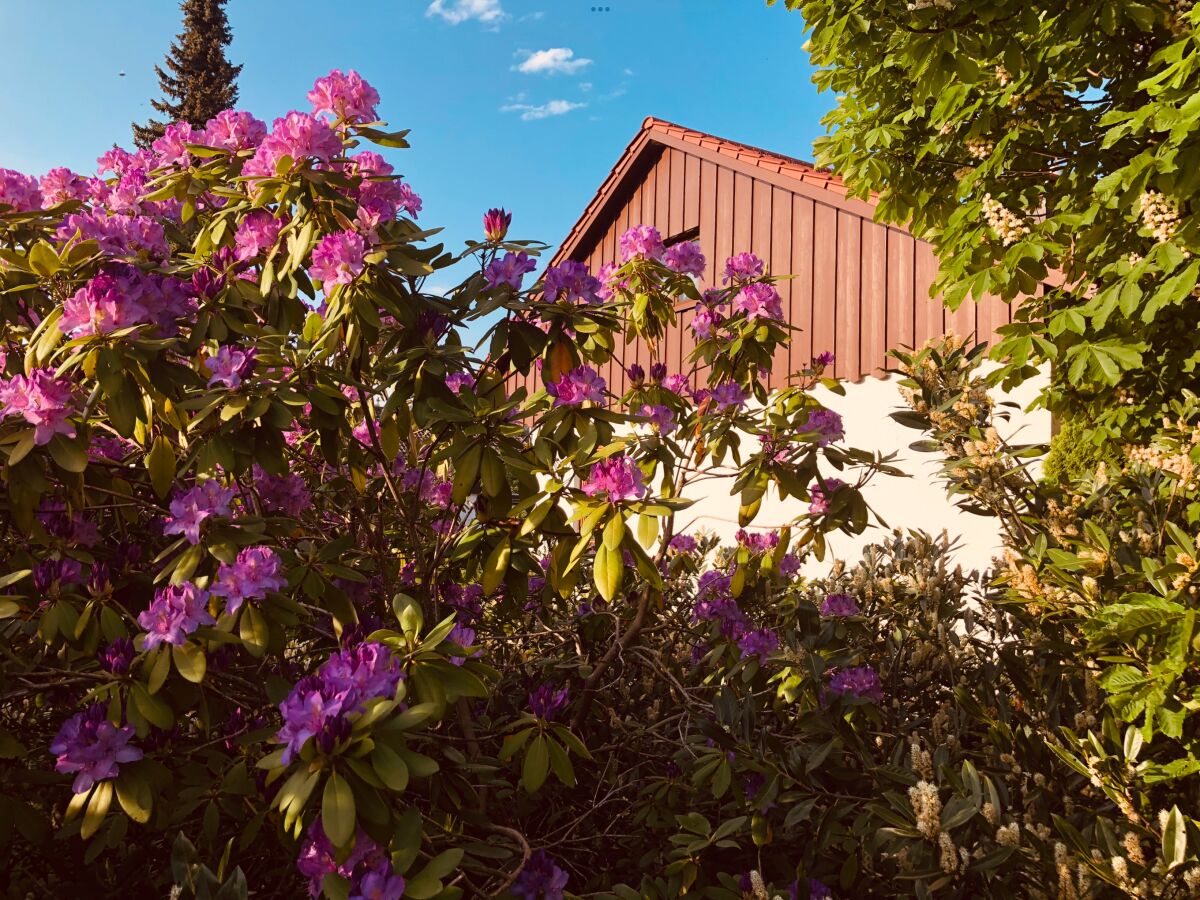 Holiday house Dream holiday home with beautiful garden - Outdoor photo 4
