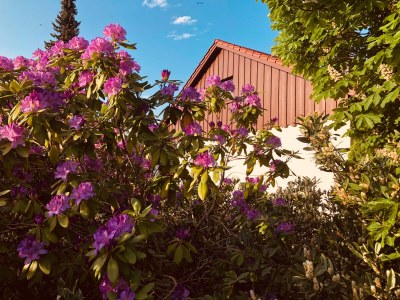 Holiday house Dream holiday home with beautiful garden - Outdoor photo 4