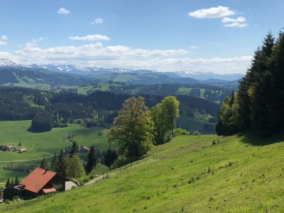 Holiday house Dream holiday home with beautiful garden - Environment photo 36