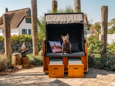 Holiday house Sundoase - Outdoor photo 9