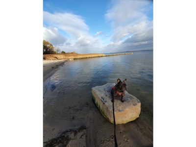 Holiday house Sundoase - Environment photo 35