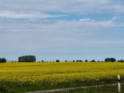 Holiday house Sundoase - Environment photo 38