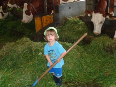 Holiday apartment Stroblbauernhof - Environment photo 9