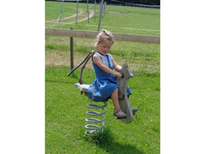 Holiday apartment Stroblbauernhof - Environment photo 12