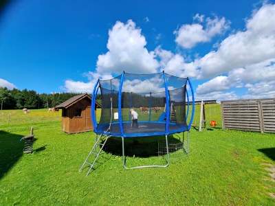 Holiday apartment Stroblbauernhof - Environment photo 14