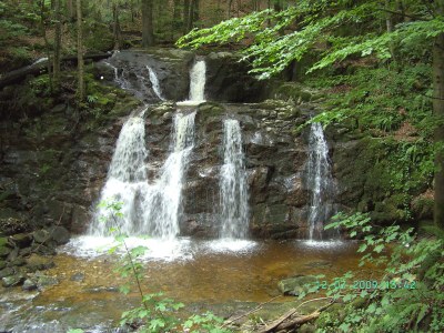 Holiday apartment Stroblbauernhof - Environment photo 21