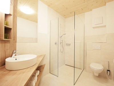 Holiday apartment To the Stubai Glacier - Forest - Features photo 19