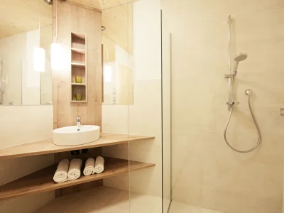 Holiday apartment To the Stubai Glacier - Forest - Features photo 20