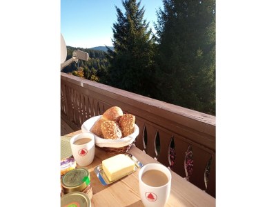 Holiday apartment Spatzennest im Haslehaus - Features photo 17