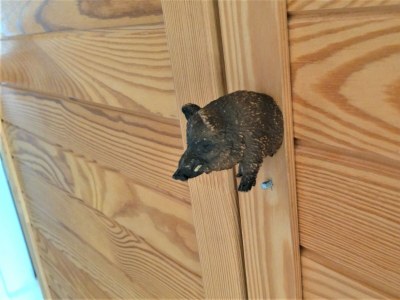 Holiday apartment Spatzennest im Haslehaus - Features photo 20