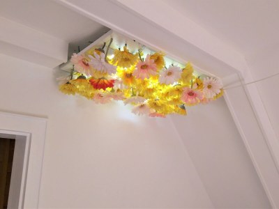 Holiday apartment Spatzennest im Haslehaus - Features photo 22