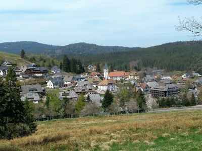 Holiday apartment Spatzennest im Haslehaus - Environment photo 25