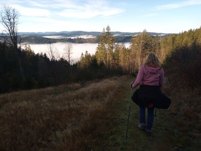 Holiday apartment Spatzennest im Haslehaus - Environment photo 27