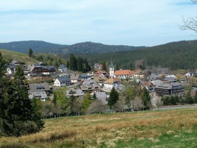 Holiday apartment Spatzennest im Haslehaus - Environment photo 28