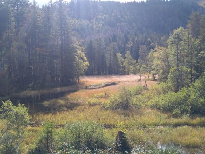 Holiday apartment Spatzennest im Haslehaus - Environment photo 34