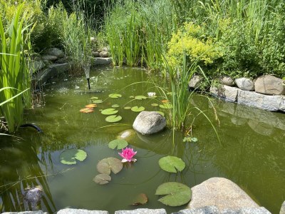 Holiday house "Klar zur Wende!" - Outdoor photo 3