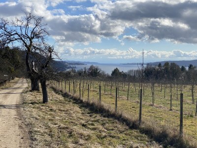 Holiday house "Klar zur Wende!" - Outdoor photo 11