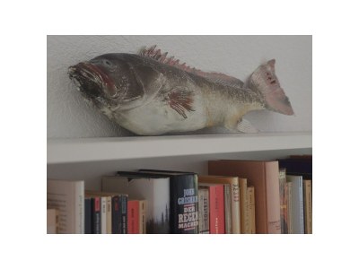 Holiday house Baltic Sea - Features photo 10