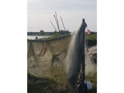 Holiday house Baltic Sea - Environment photo 31