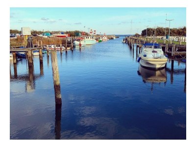 Holiday house Baltic Sea - Environment photo 33