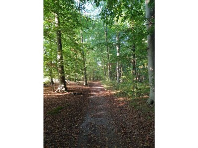 Holiday house Baltic Sea - Environment photo 37