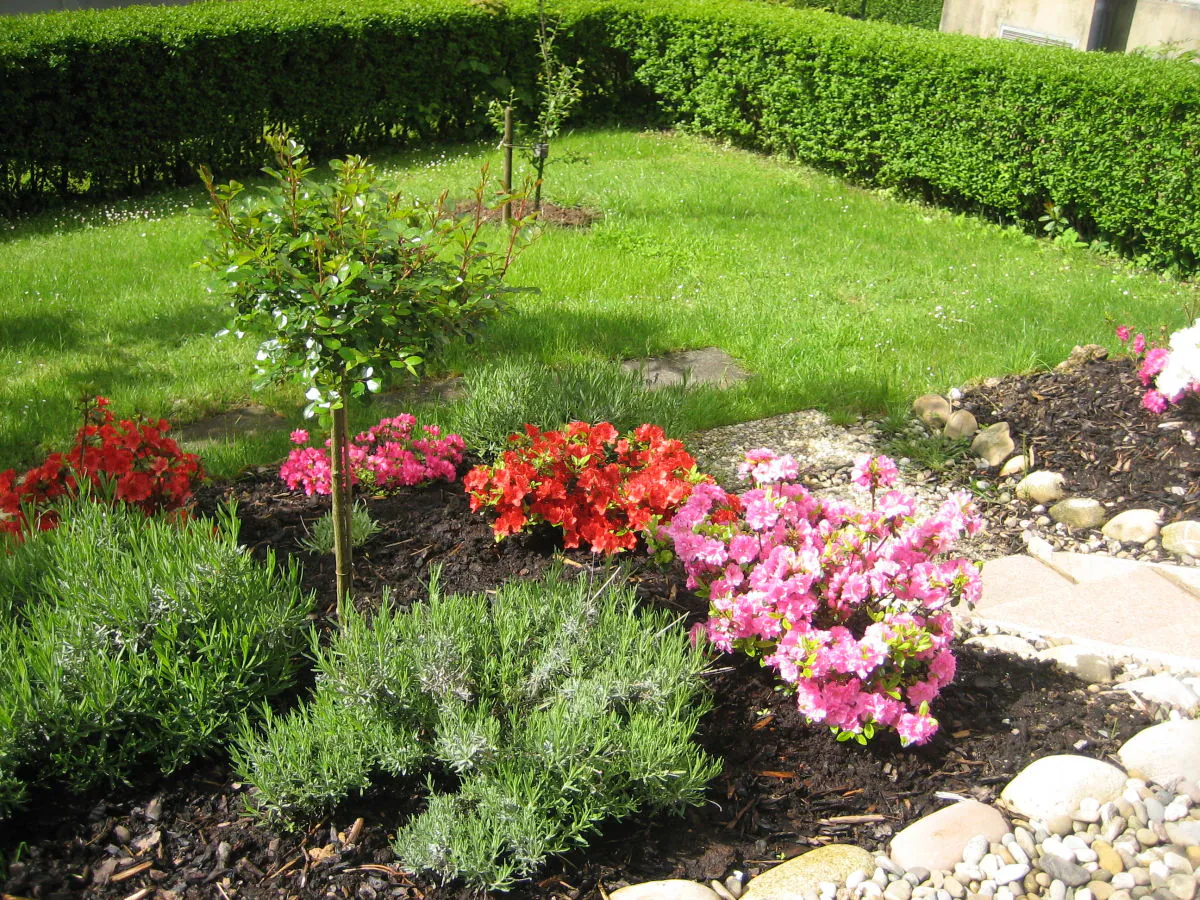 Holiday apartment House Othman - Outdoor photo 4