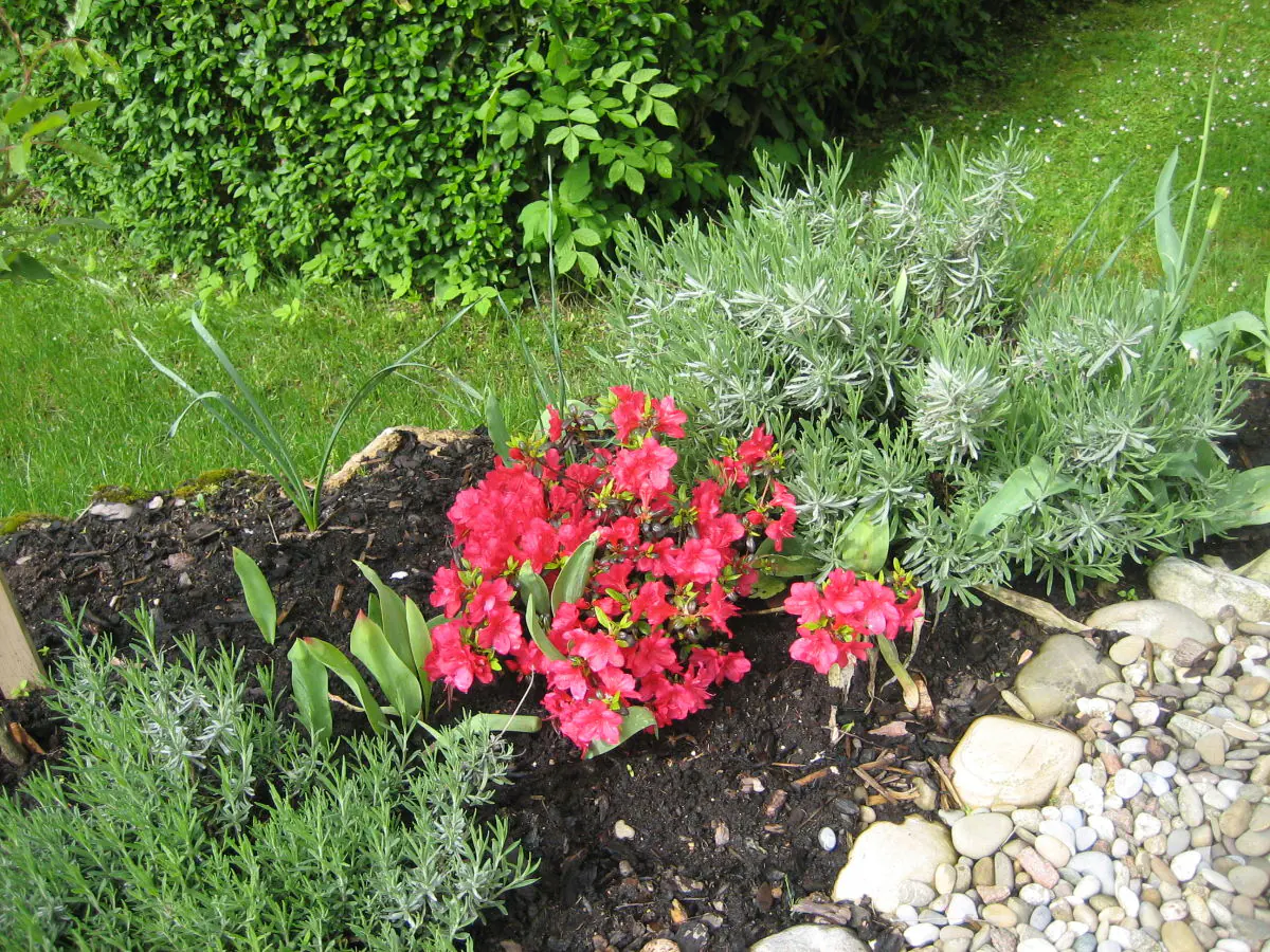 Holiday apartment House Othman - Outdoor photo 5