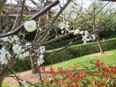 Holiday apartment House Othman - Outdoor photo 6