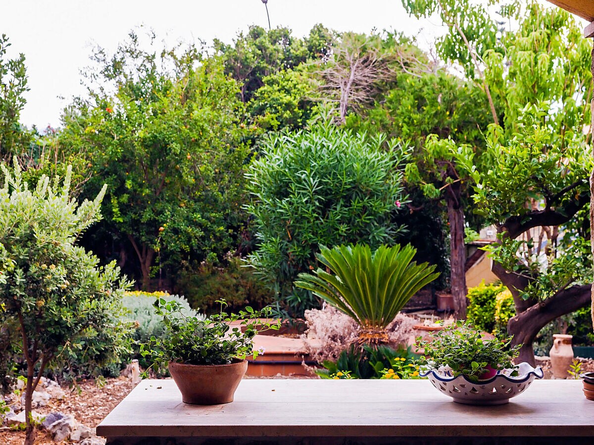 Holiday house Villa Cedro Saraceno - Outdoor photo 5