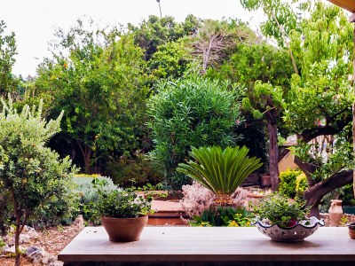 Holiday house Villa Cedro Saraceno - Outdoor photo 5