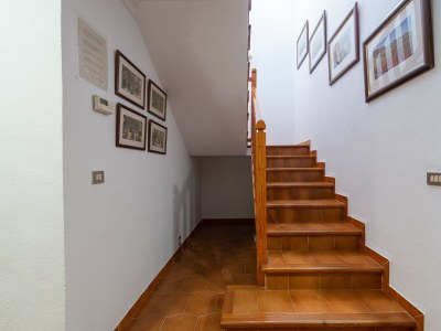 Villa Can Llorens - Features photo 39