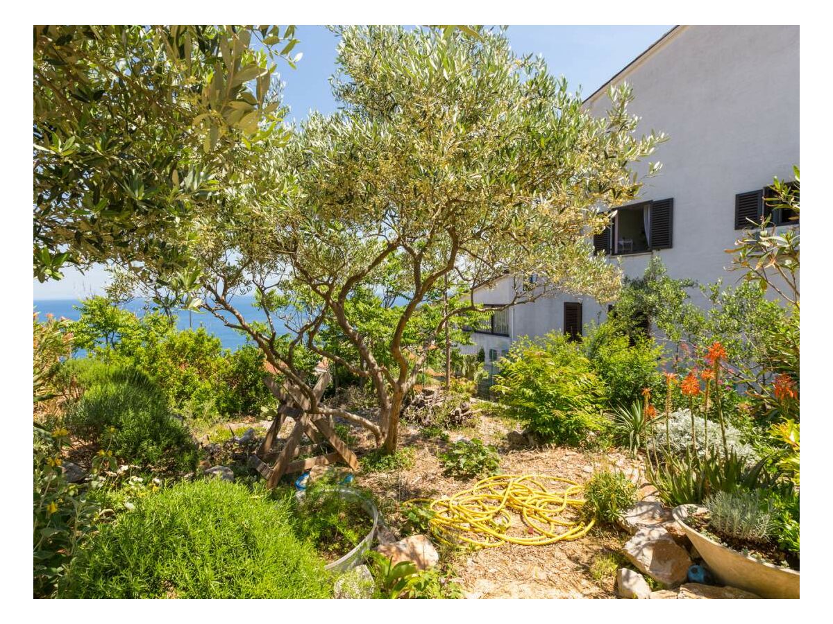 Holiday apartment Barbara - Outdoor photo 4