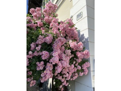 Holiday apartment Bad Aussee City Villa - Outdoor photo 2