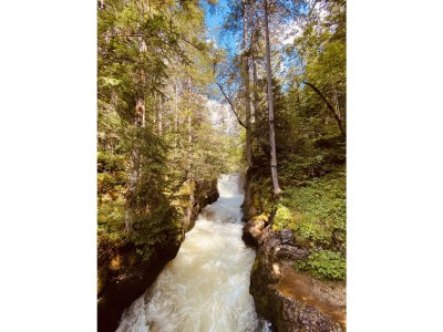 Holiday apartment Bad Aussee City Villa - Environment photo 31