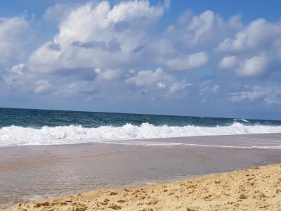 Holiday house Chalet Bleu - Environment photo 25