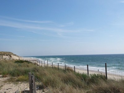 Holiday house Chalet Bleu - Environment photo 27