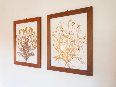 Holiday house Peaceful Getaway in Frontino - Outdoor photo 38