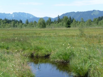 Holiday apartment Pauli - Environment photo 30